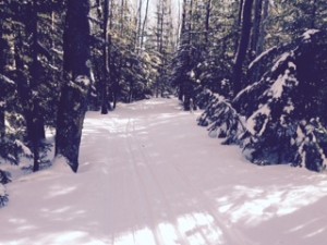 Cross Country  Ski Trail