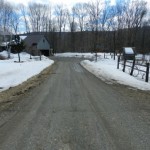 The driveway, clear down to the dirt.