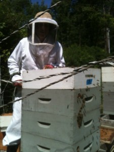 Me, working the bees.