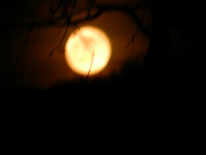Rising full moon. (iPhone photo: Deborah Lee Luskin)