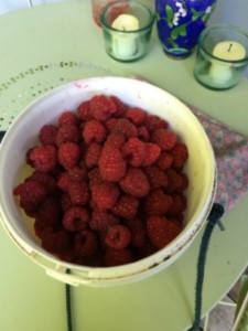 Raspberries, just picked.