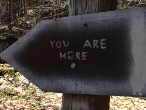 Whimsical signage on the White Fern Trail. (Deborah Lee Luskin, photo)