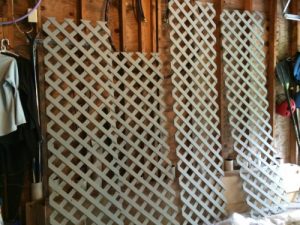 Painting lattice is a loathsome job. Deborah Lee Luskin, photo