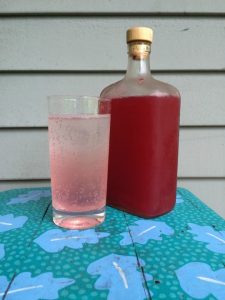 Simple Rhubarb Syrup makes a tangy substitute for lemon or lime in water, seltzer, lemonade, gin and tonic or mojito. 