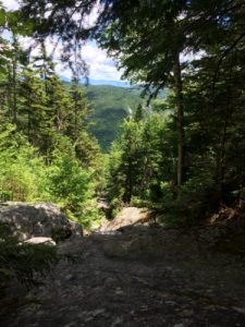 The Beaver Brook Trail is steep! Deborah Lee Luskin, photo