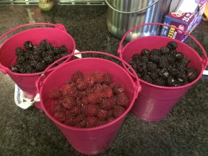 Berries & Cherries & Time