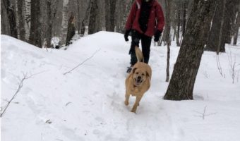 Emission s Equation: man and dog in winter woods