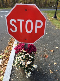 We'd all be safer if everyone stopped at stop signs. Stop signs mean "stop" - not "slow down"