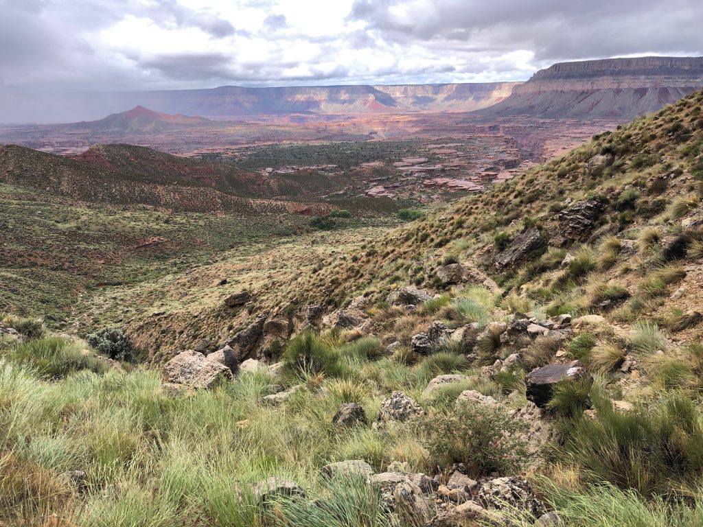 View of the Grand Canyon from the North Rim. Steep green scrub descending to a wide view of flat plateau punctuated by mesas and cliffs.