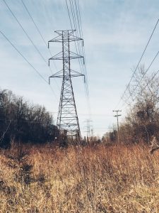 Dried grasses in the clearing below a high tension power line. Photo by Leigh Heasley from Pexels