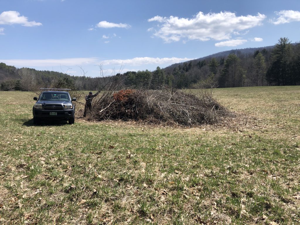 Building the brush pile