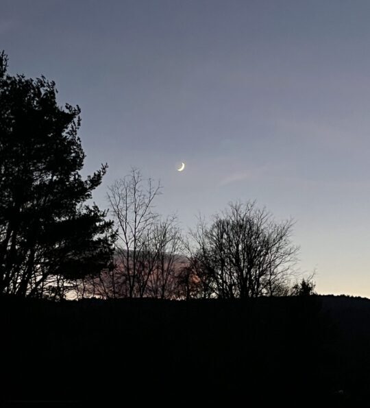 Crescent moon waxing above dark silhouette of trees.