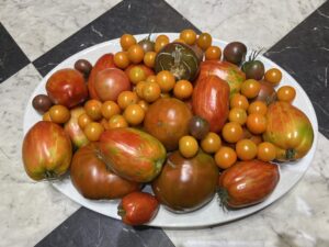 A variety of tomatoes heaped on a white platter.