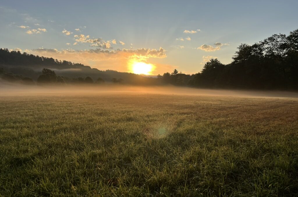 Nature-Based Memoir Writing Circle in Narrowsburg, NY